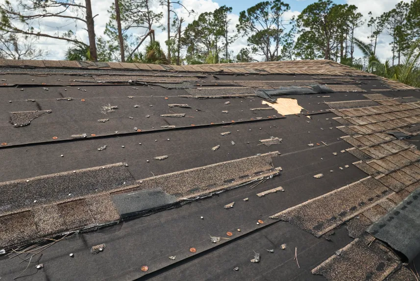 Roof storm damage