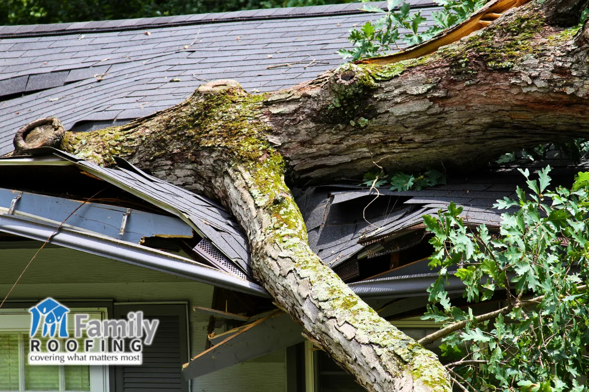 Storm Damage in Anderson County: Hail, Wind, and Hidden Roof Problems
